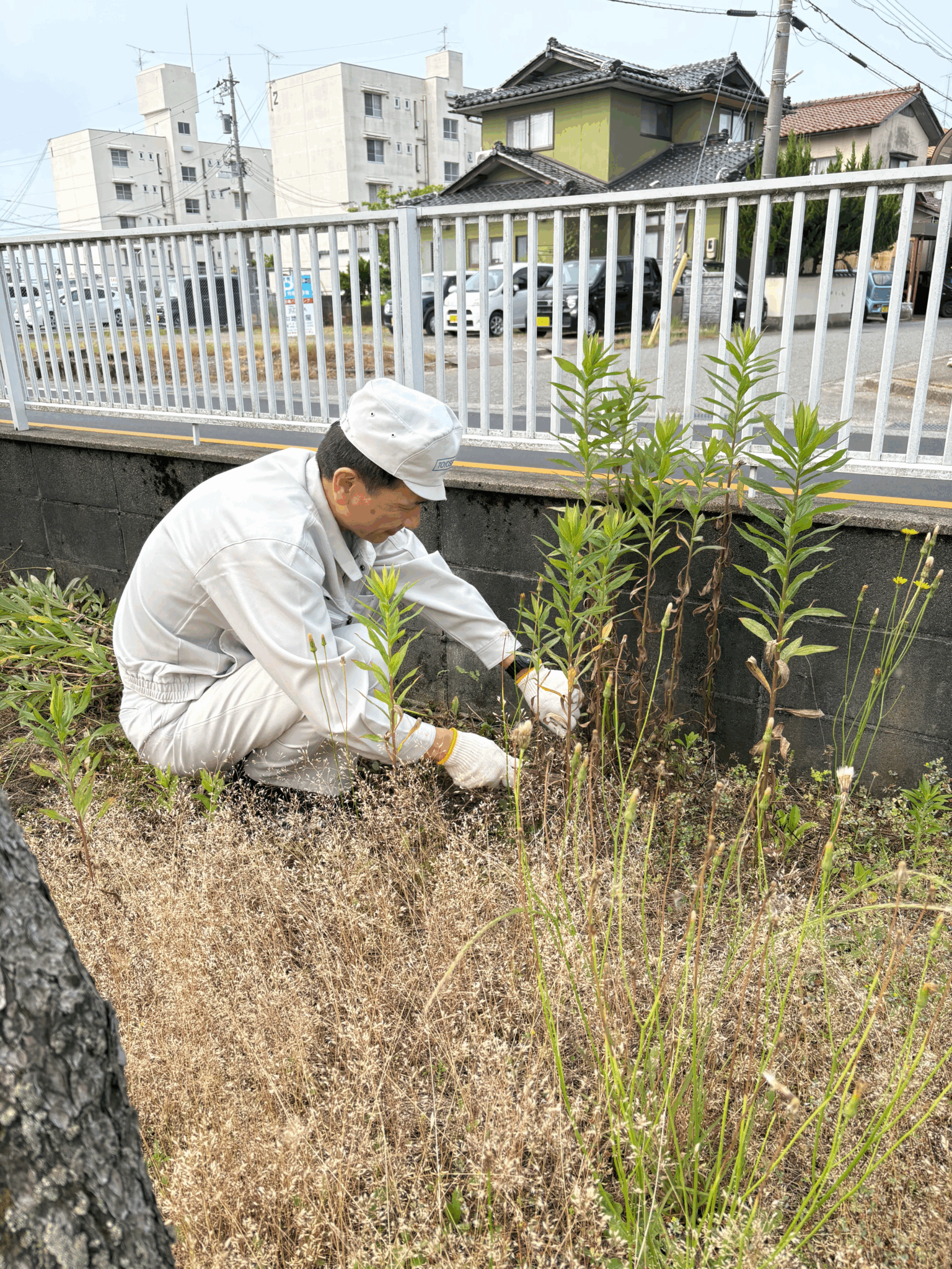 草・泥こんもり、達成感もこんもり | 東洋染工株式会社